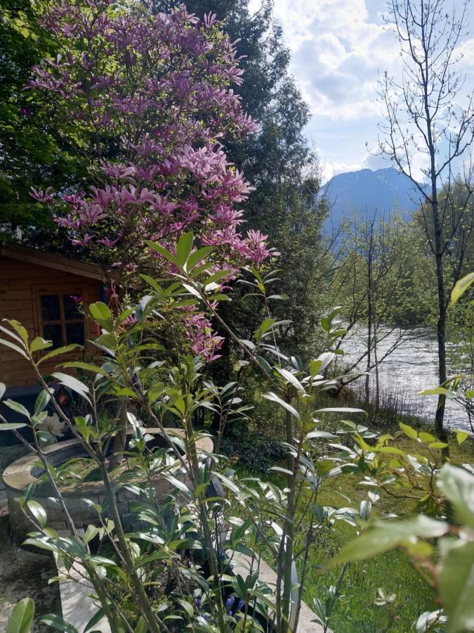 Apartments An Der Traun Bad Ischl Exterior photo